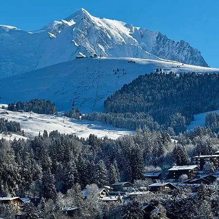 Flocons De Lejlighed *